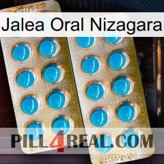 Nizagara Oral Jelly new08